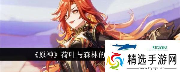 原神荷叶与森林的答案任务怎么做