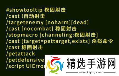 魔兽世界WLK时期猎人常用宏有哪些巫妖王之怒WLK怀旧服猎人常用宏命令汇总