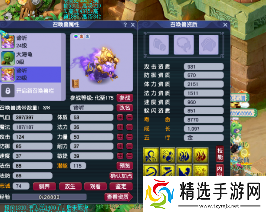 梦幻西游潘总一条龙打造服战谛听