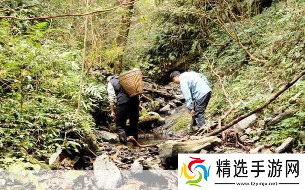 榆树老人做交易森林图片