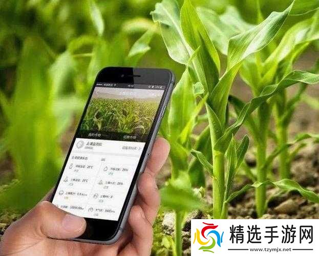 成都香蕉草莓科技