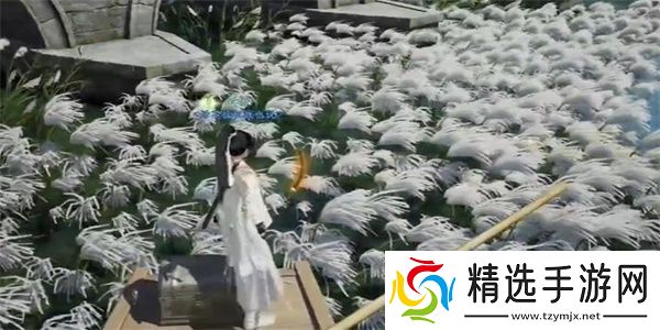 射雕手游梅花肯瓷怎么收集