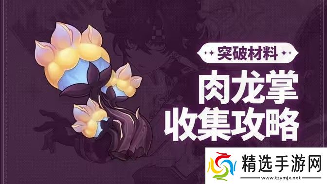 原神肉龙掌采集路线大全