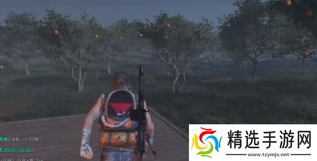 七日世界领地如何挑选