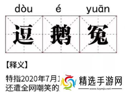 络用语逗鹅冤是什么梗