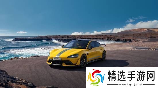 全球扭矩最大十款车