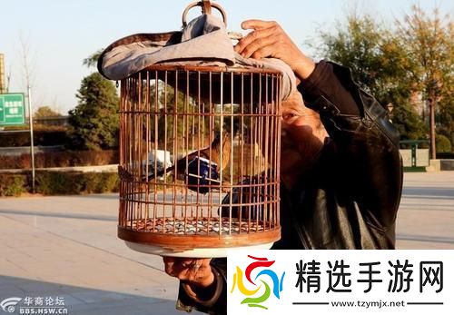 “八旬翁养鸟时髦害处论网友辣评新潮背后藏何玄机!”