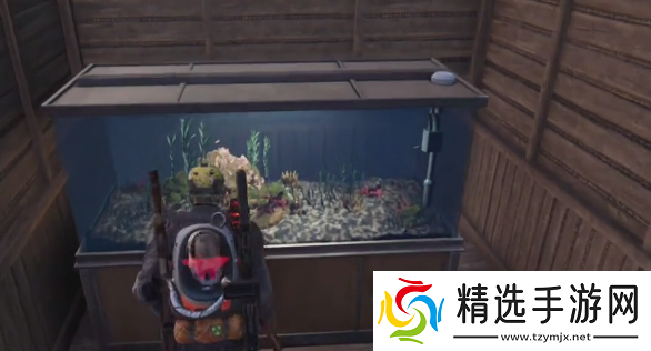 七日世界鱼缸可以放多少鱼