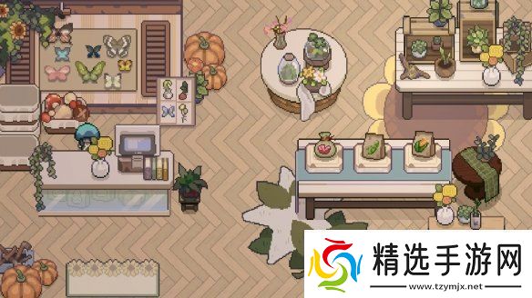 体验西南少数民族风情