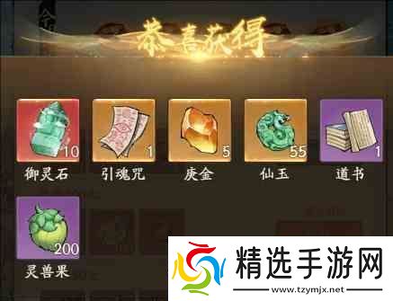 寻道大千灵石用法推荐