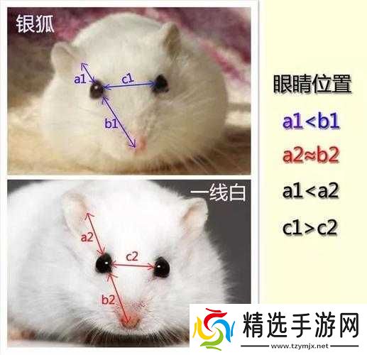 日本一线和三线的区别是什么