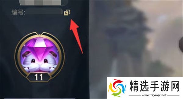 英雄联盟手游好友称号获取方法