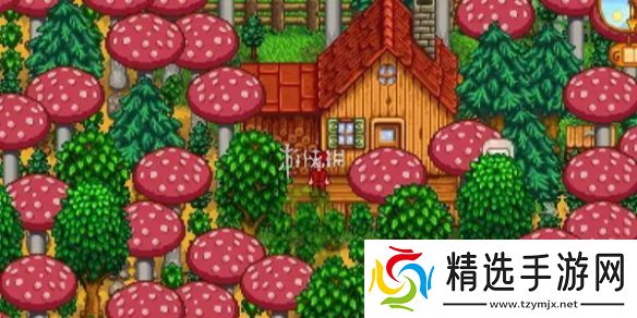 星露谷物语神秘的齐2任务怎么过