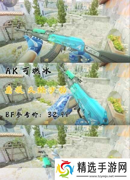 暴躁老阿姨CsGO最新章节更新