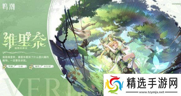 鸣潮椿主c配队推荐