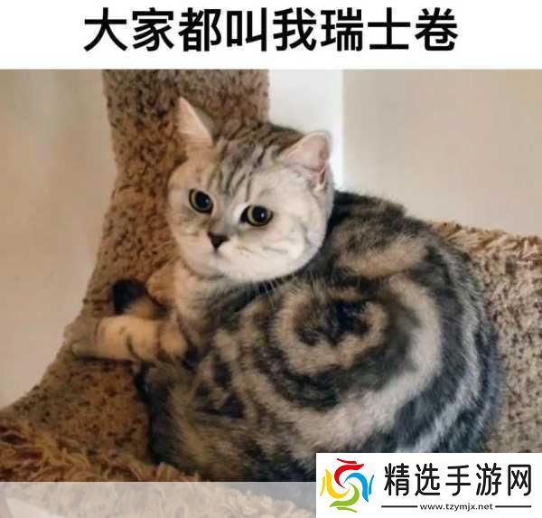 后mememe视频完整版在线观看