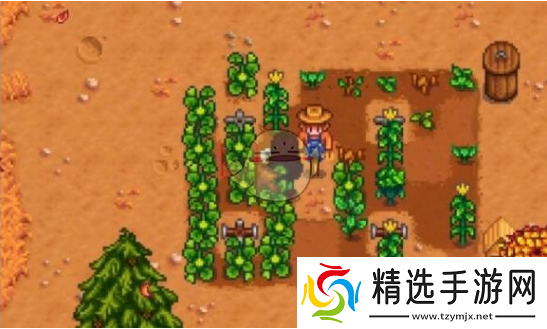 星露谷物语雕刻南瓜任务如何通关