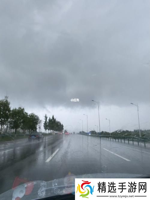 “暴雨中与讨厌主管出差的科技新宠儿