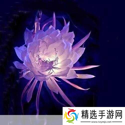 女性莲花开症状图片