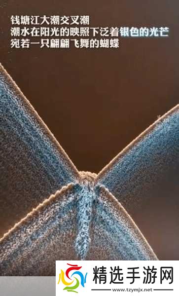 女生的蝴蝶比是罕见的吗