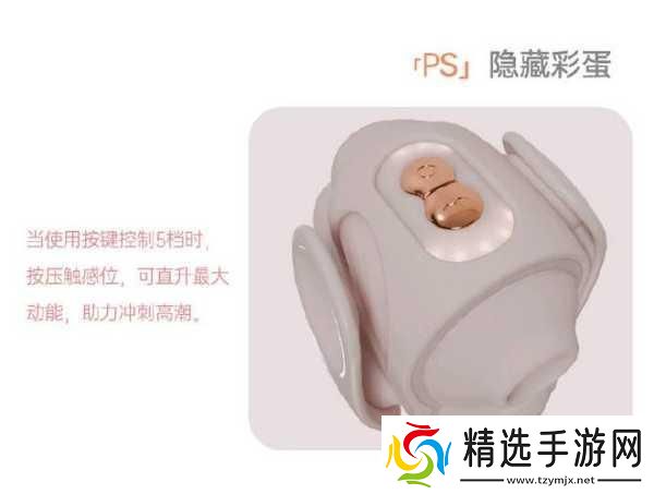 戴上小玩具调到10档体验