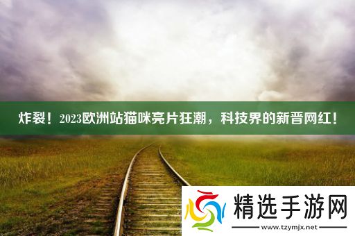 炸裂！2023欧洲站猫咪亮片狂潮科技界的新晋网红！