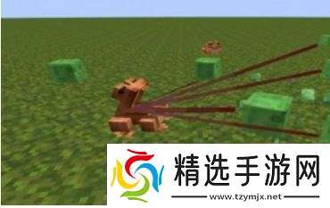 我的世界青蛙有什么用我的世界青蛙用途介绍