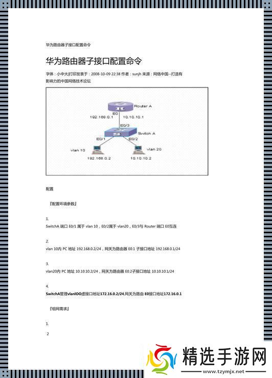 单臂路由的诡计