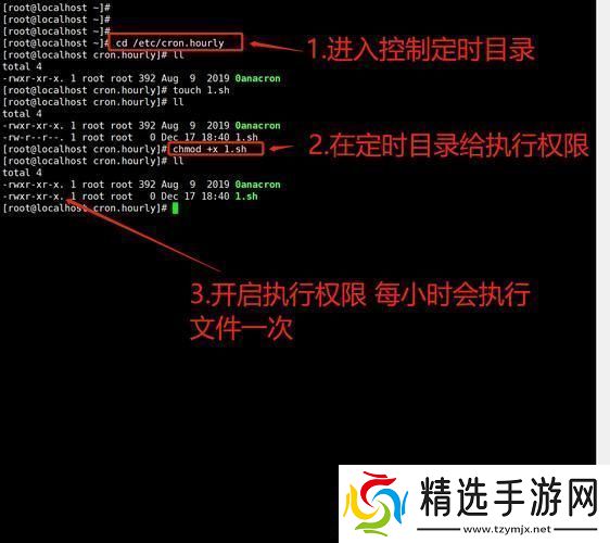 “定时定时！定时……”