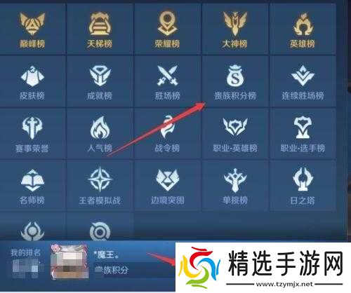 如何轻松查看王者荣耀充值记录明细
