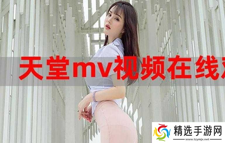 欧美MV日韩MV国产站