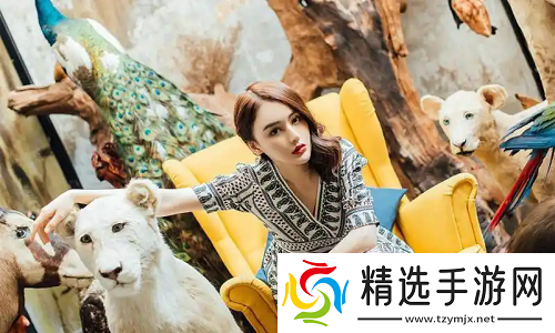 揭秘九幺黄9·1安装的隐藏功能