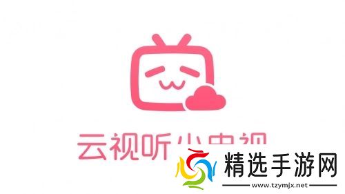 b站电视app叫什么