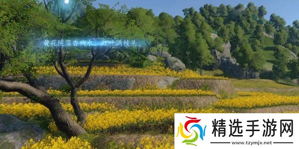逆水寒手游磁州词话油菜花田任务怎么完成