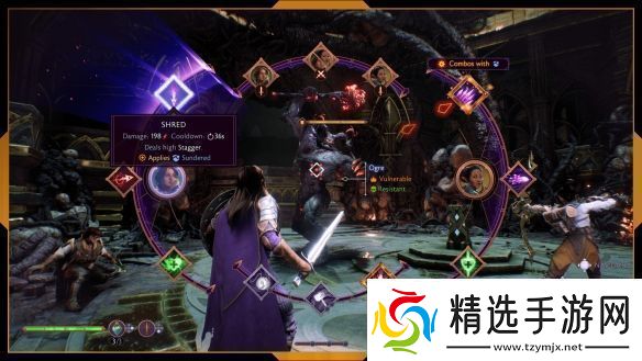 龙腾世纪影障守护者有哪些职业