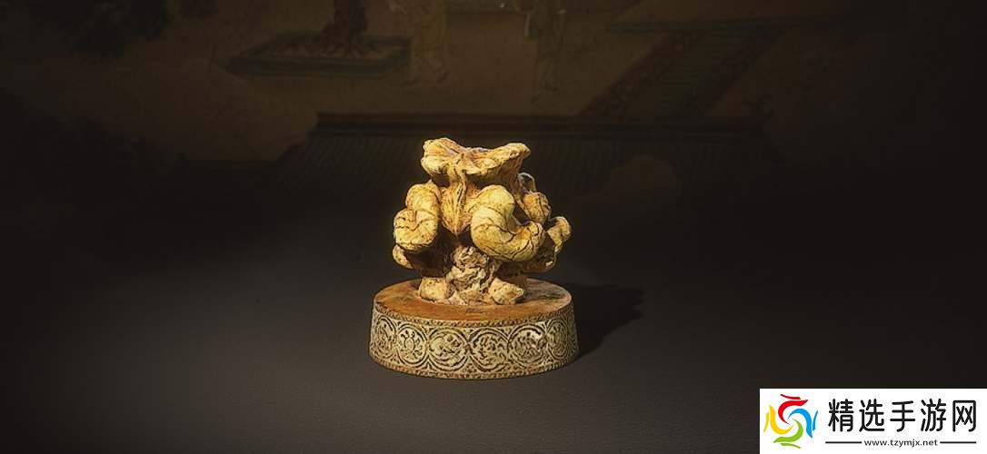 黑神话悟空玲珑内丹速刷攻略