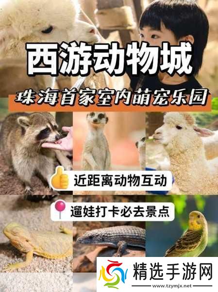 天谕手游探索指南