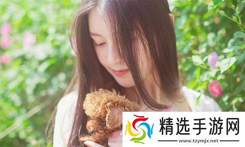 永久不收费免费的社交软件新选择