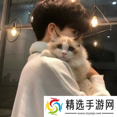 2023微信最火头像有哪些