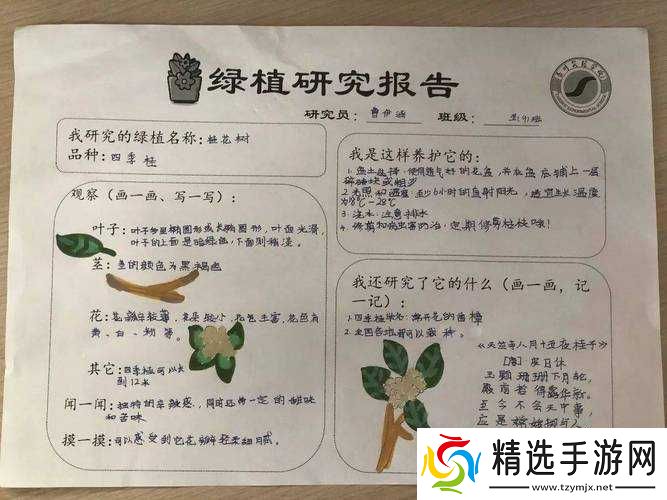 嫩草研究一二三四五六