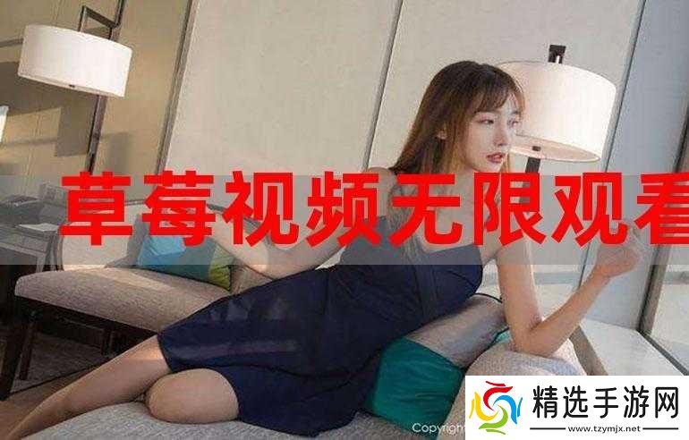 钢铿锵锵锵锵在线观看