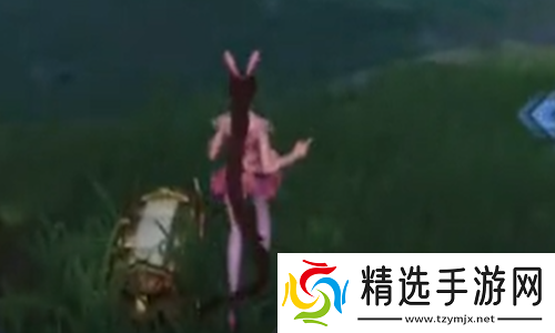 罗大陆手游村庄宝箱在哪