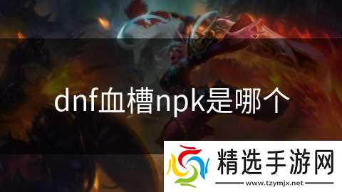 dnf血槽npk是哪个