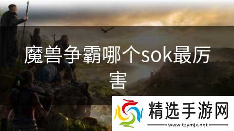 魔兽争霸哪个sok最厉害