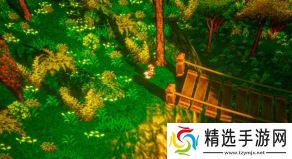 《南方流浪者》游戏类型介绍