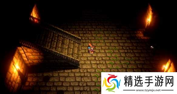 《南方流浪者》游戏类型介绍