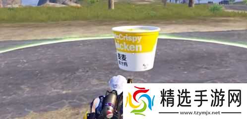 和平精英使用脆汁鸡腿完成游戏,《和平精英》天空赛场回血神器介绍