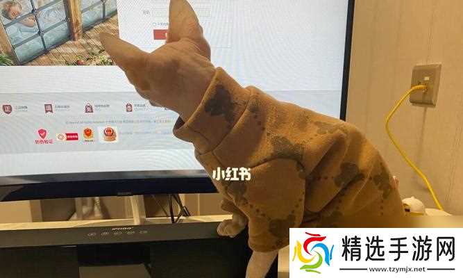 猫之城茂林余音解析？游戏体验和特点是什么？