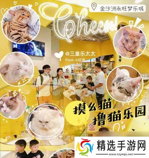 猫之城篁迳月韵怎么样？培养攻略和评价解析