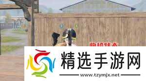 和平精英如何边跳舞边开枪技巧